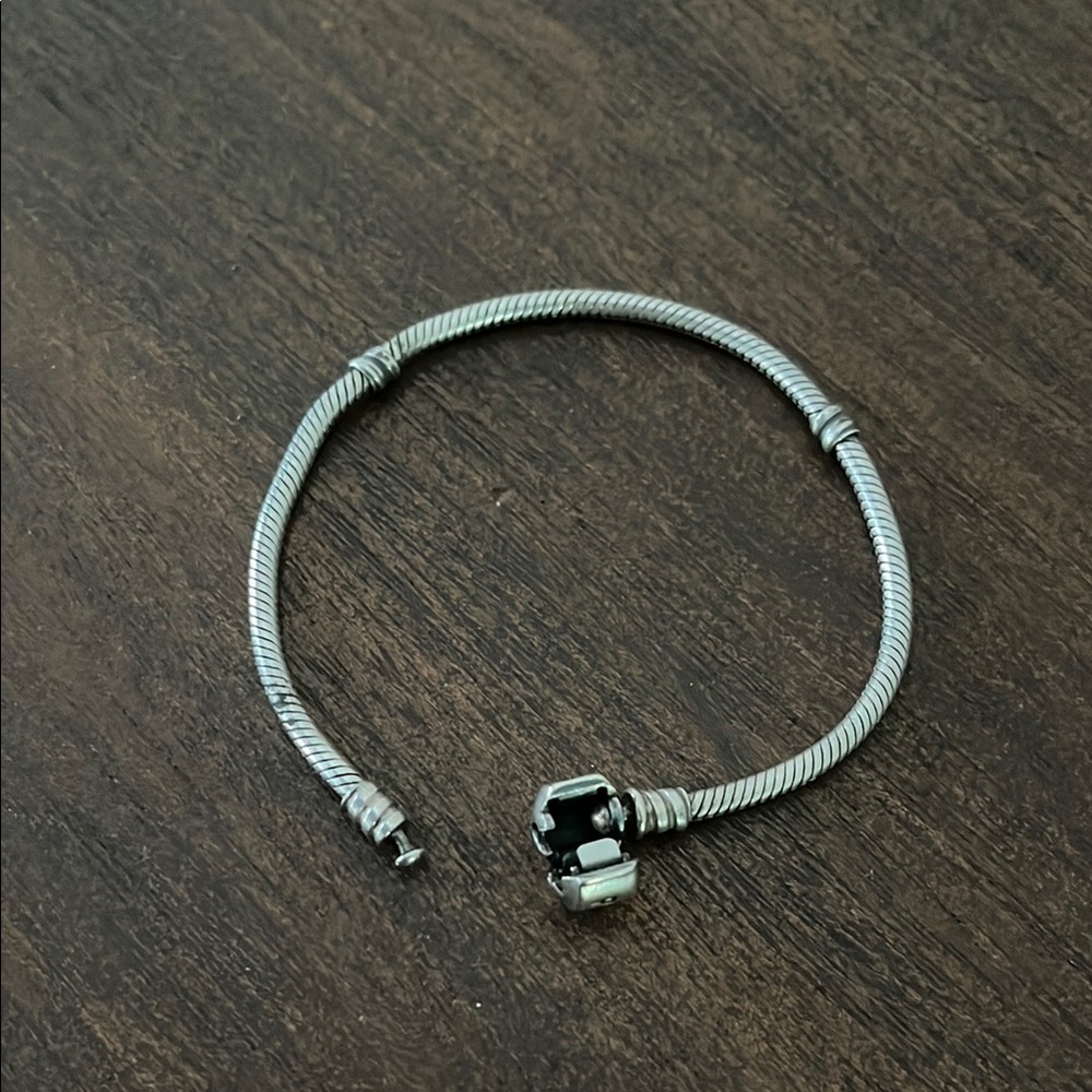 Silver Pandora Charm Bracelet